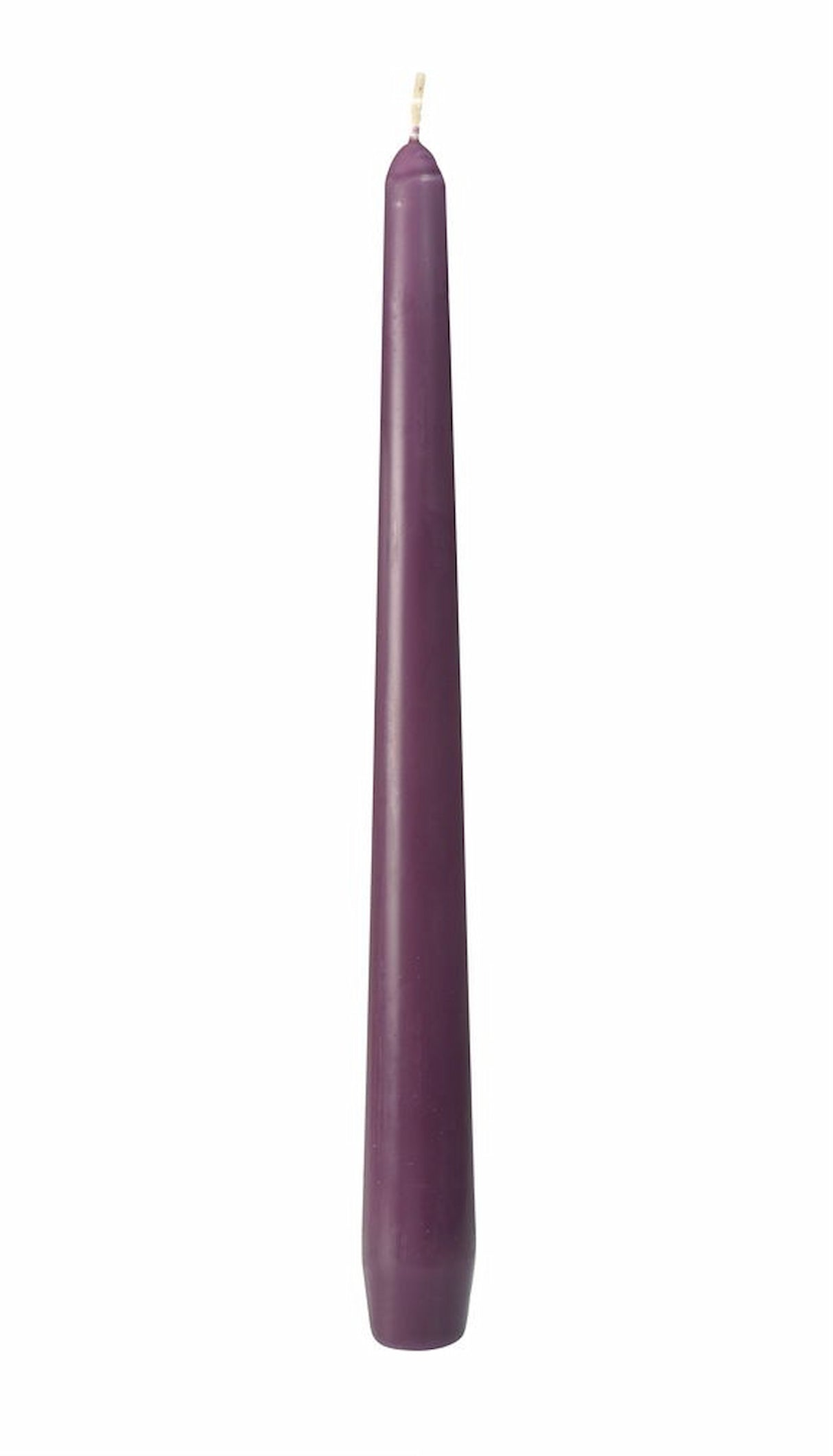 Leuchterkerzen plum L