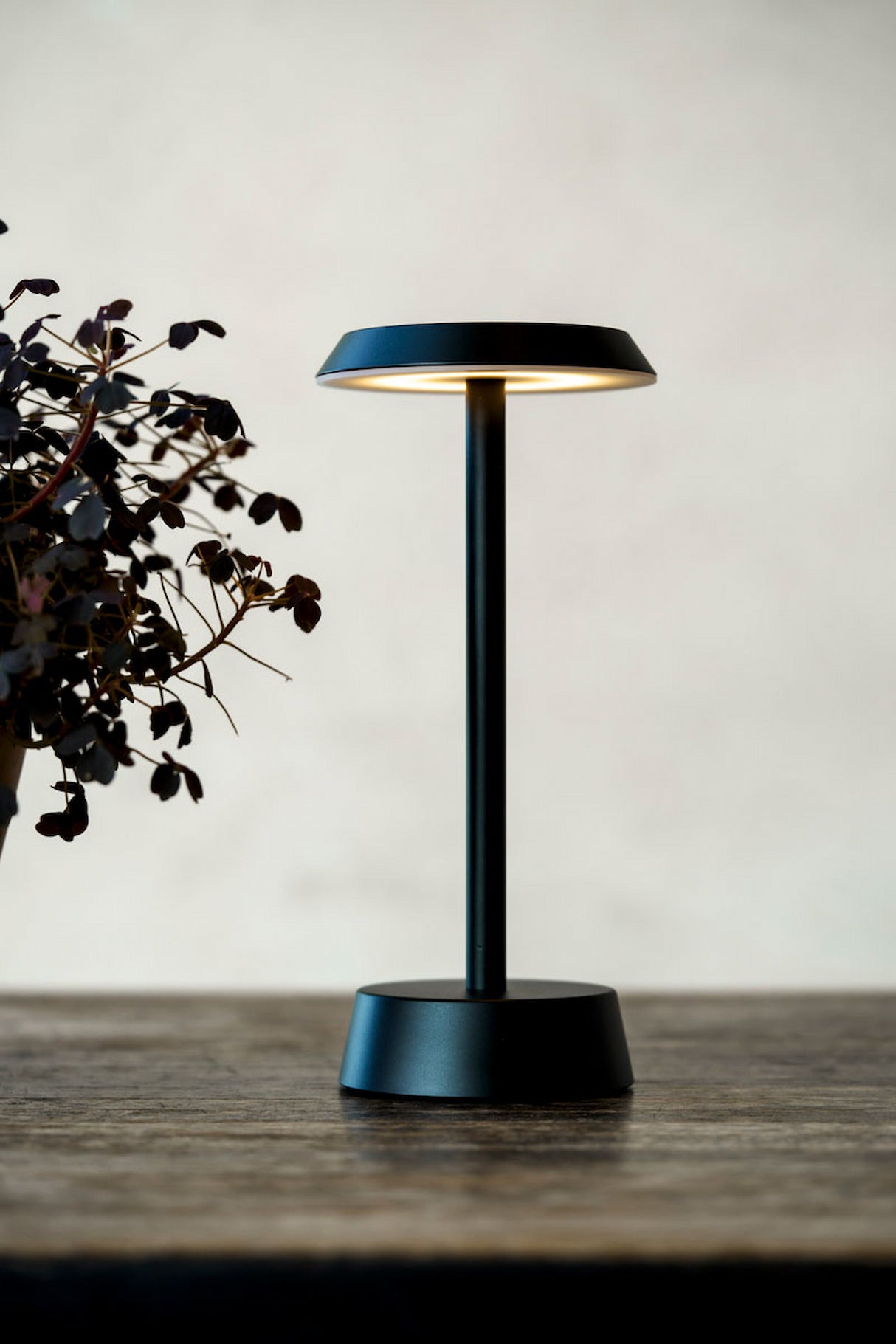 1 Duni LED Lampe kabellos Nour graphite, 206426 inklusive Ladestation