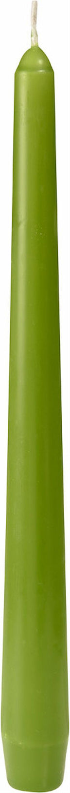 Leuchterkerzen leaf green L